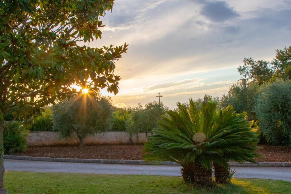 La Volpina Bed & Breakfast Martina Franca Ngoại thất bức ảnh