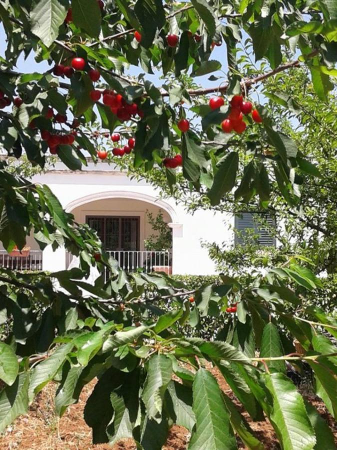 La Volpina Bed & Breakfast Martina Franca Ngoại thất bức ảnh