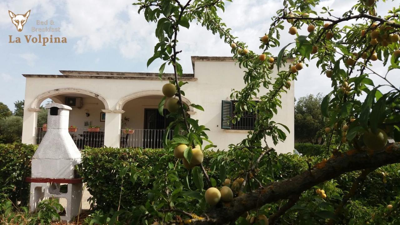La Volpina Bed & Breakfast Martina Franca Ngoại thất bức ảnh